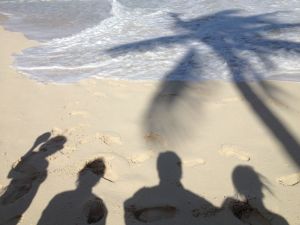 beach-palm-tree-shadow